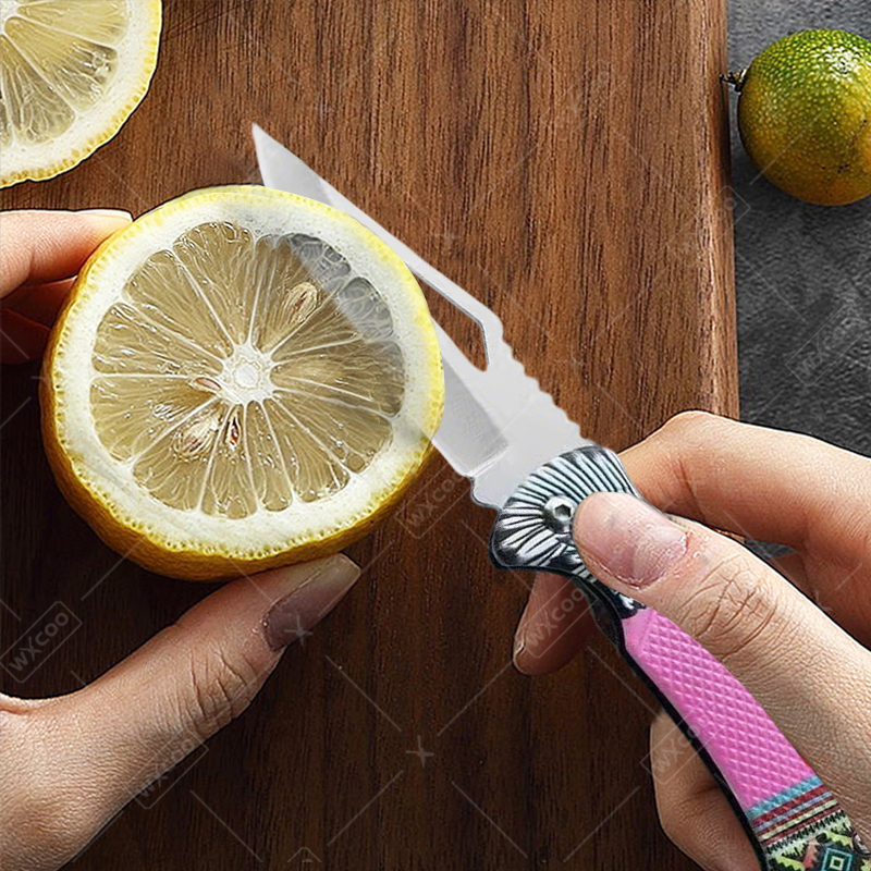 WXCOO Folding Knife Stainless  - Kitchen Gadgets That Make Life Easier บทวิจารณ์และราคา